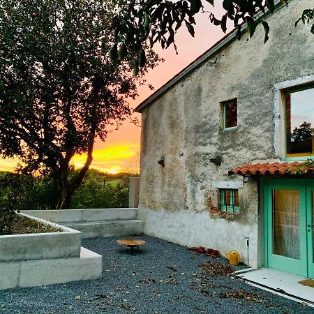 Appartement Samson And The Lilo à Vipava Extérieur photo