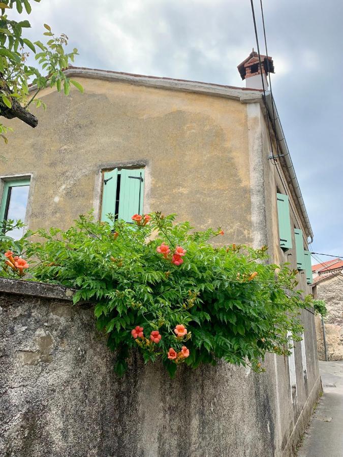 Appartement Samson And The Lilo à Vipava Extérieur photo