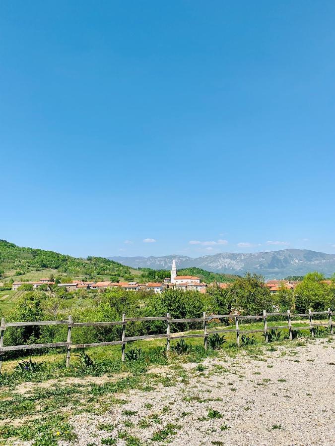 Appartement Samson And The Lilo à Vipava Extérieur photo