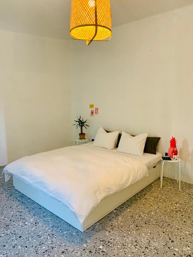 Appartement Samson And The Lilo à Vipava Extérieur photo